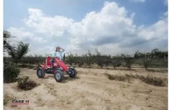 BERG Case IH XL-BFR-3 -Chique Speelgoed Winkel 3fce89bf3de6e1025e4a64953ec27db52bbee10dd569aee360bf498f12d089f5